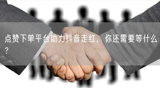 点赞下单平台助力抖音走红，你还需要等什么？