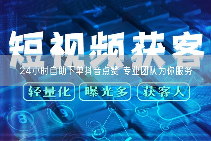 24小时自助下单抖音点赞 专业团队为你服务